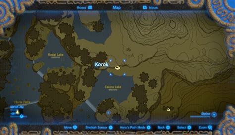 calora lake metal box|How solve puzzle with metal block to get korok seed in cora lake .